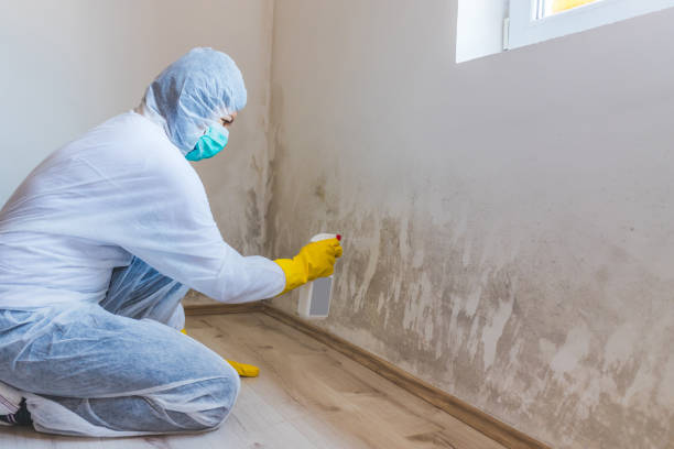 Licensed Crawl Space Mold Removal service in West New York, NJ - WQB Mold Removal