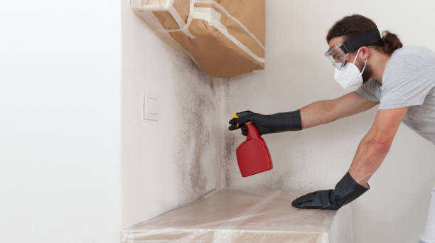 Professional Crawl Space Mold Removal technician working in West New York, NJ