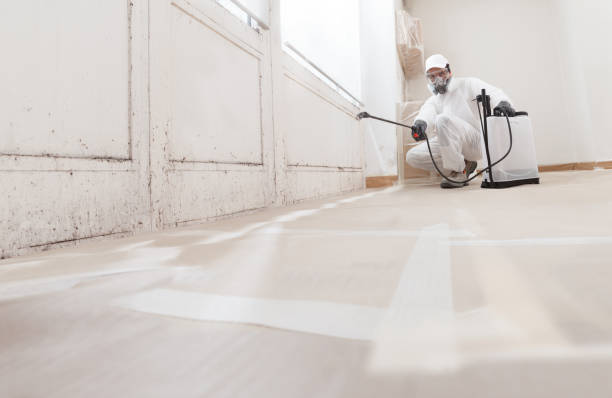 24/7 Emergency Crawl Space Mold Removal experts in West New York, NJ