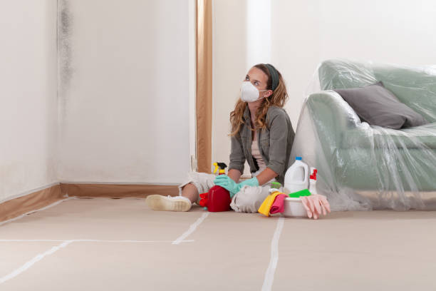 Reliable Crawl Space Mold Removal contractor in West New York, NJ by WQB Mold Removal