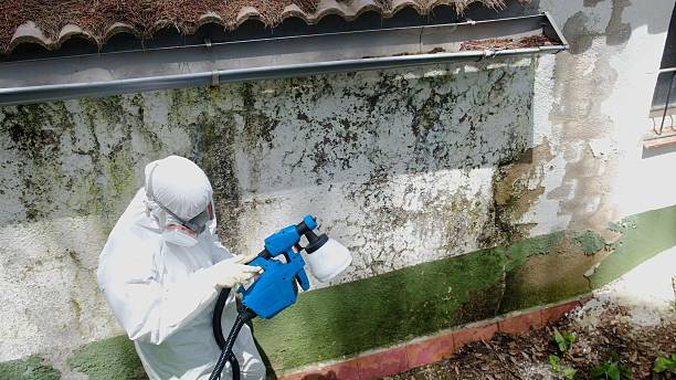 Top rated local Crawl Space Mold Removal specialists in West New York, NJ